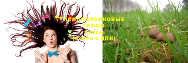apvp Нея