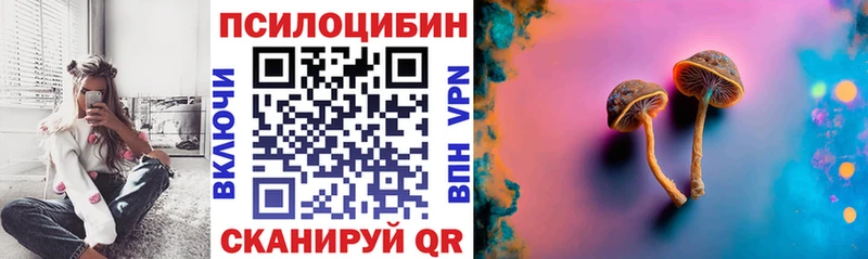 Галлюциногенные грибы Cubensis  Шахунья 