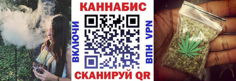 Марихуана план  Шахунья 
